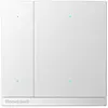 PEHA KNX secure drukknop 4-voudig inbouw met LED indicatie platina mat (KNX PB M 4BT MSP)
