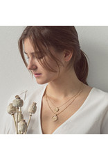 Ketting 'clover plate'