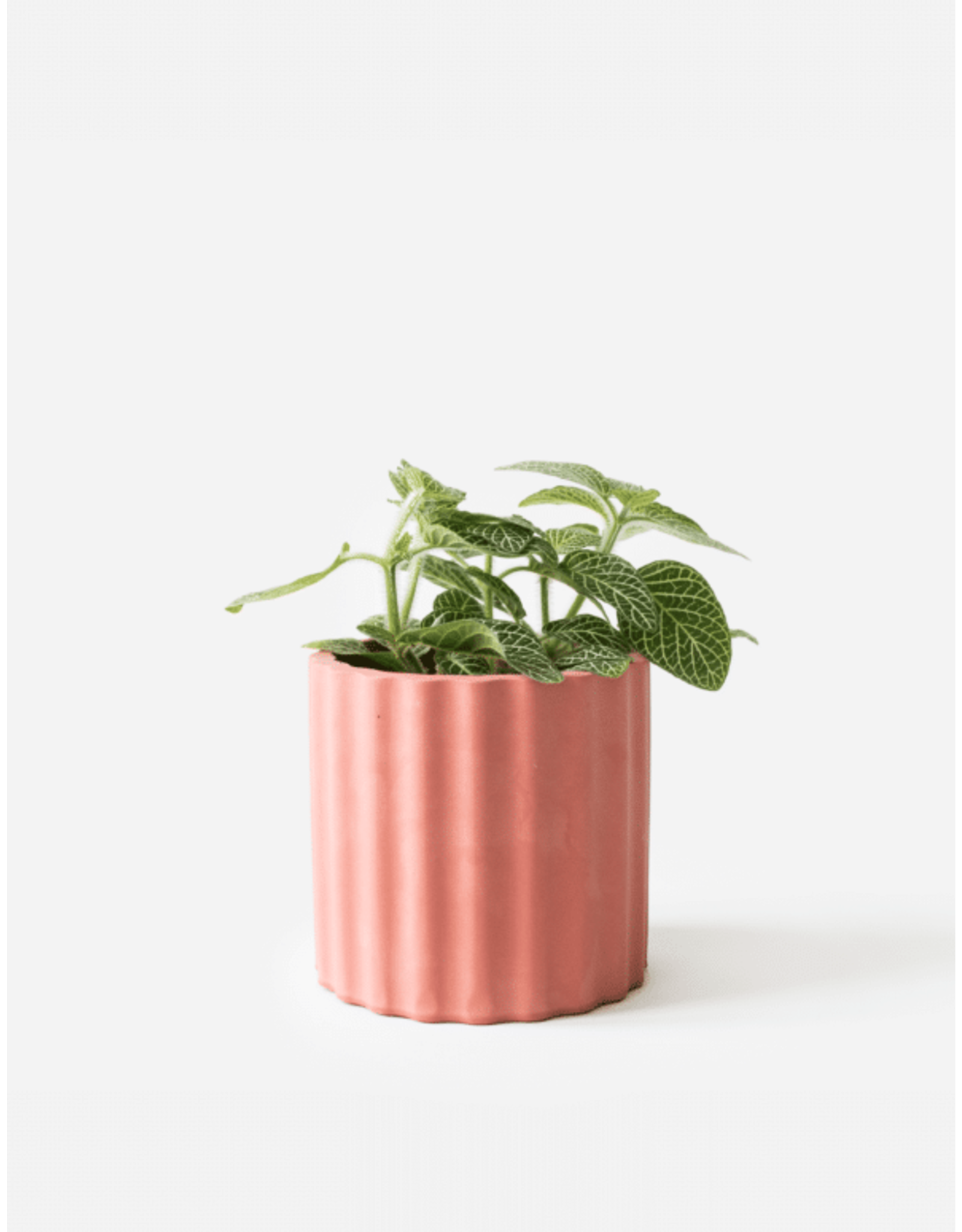 Bloempotje Mila