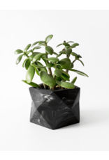 Bloempot Palua (dia 8.5cm)