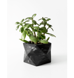 Bloempot Palua (dia 8.5cm)