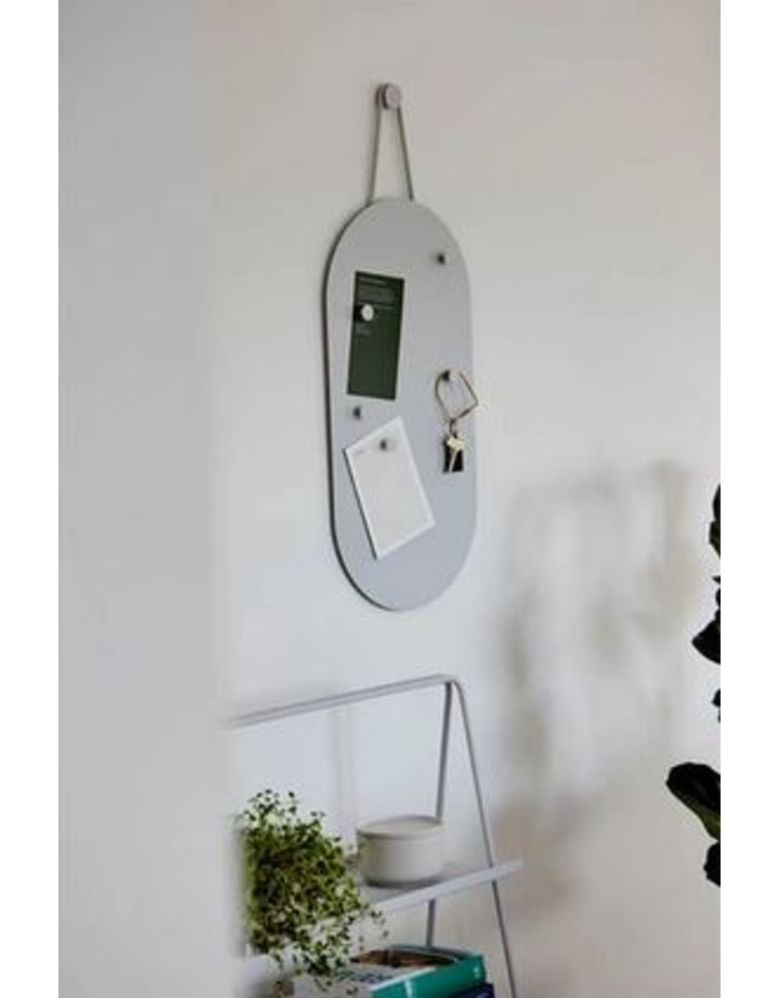 Magneetbord (+5 magneten)
