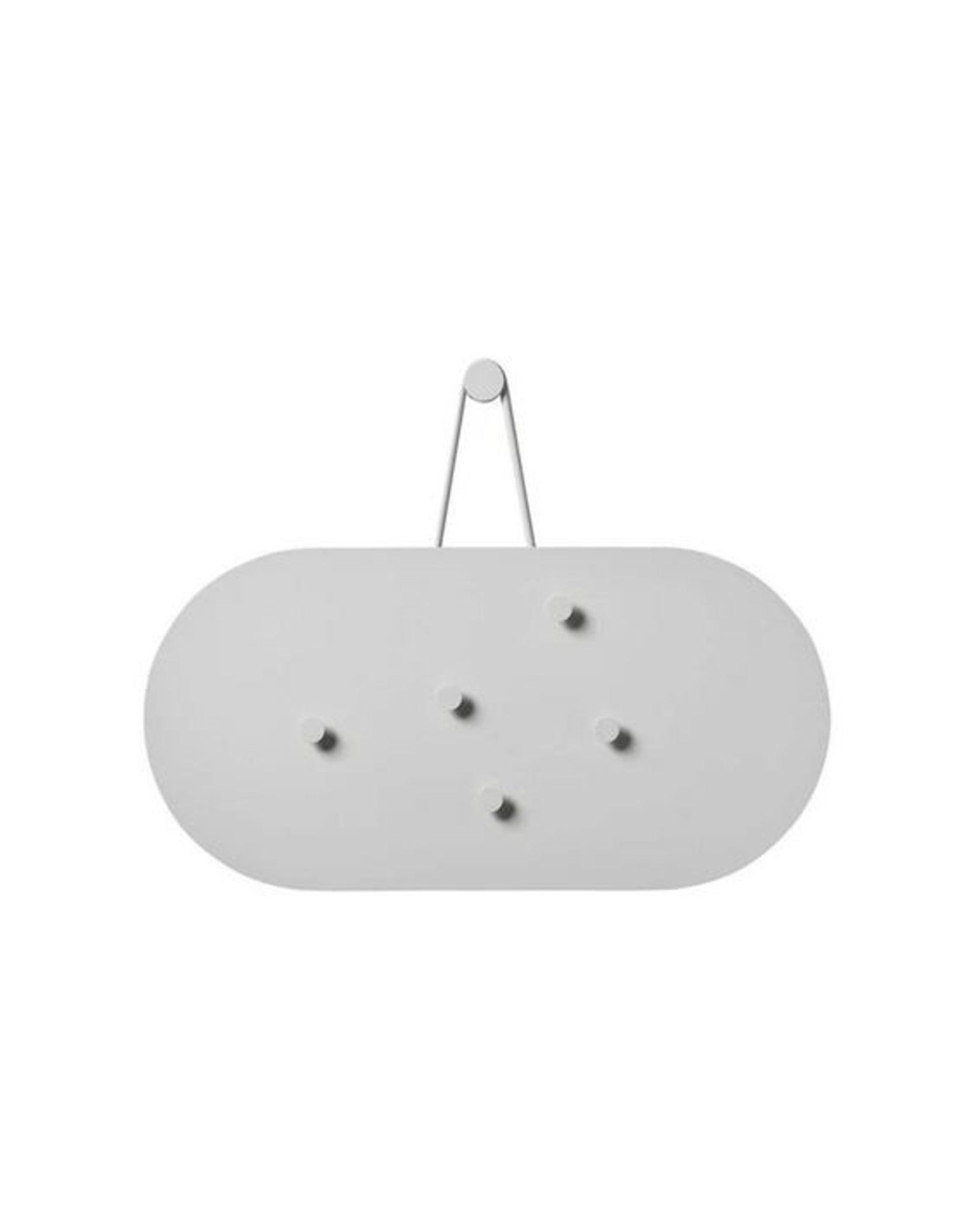 Magneetbord (+5 magneten)