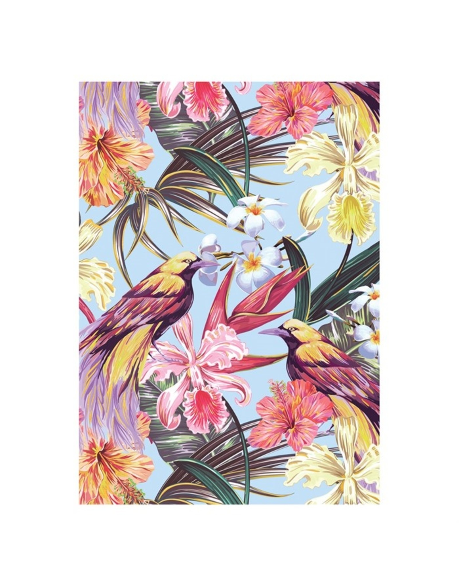 Kaartje 'bird paradise'