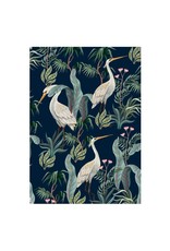 Kaartje 'white cranes'