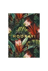 Kaartje 'hooray dark jungle'