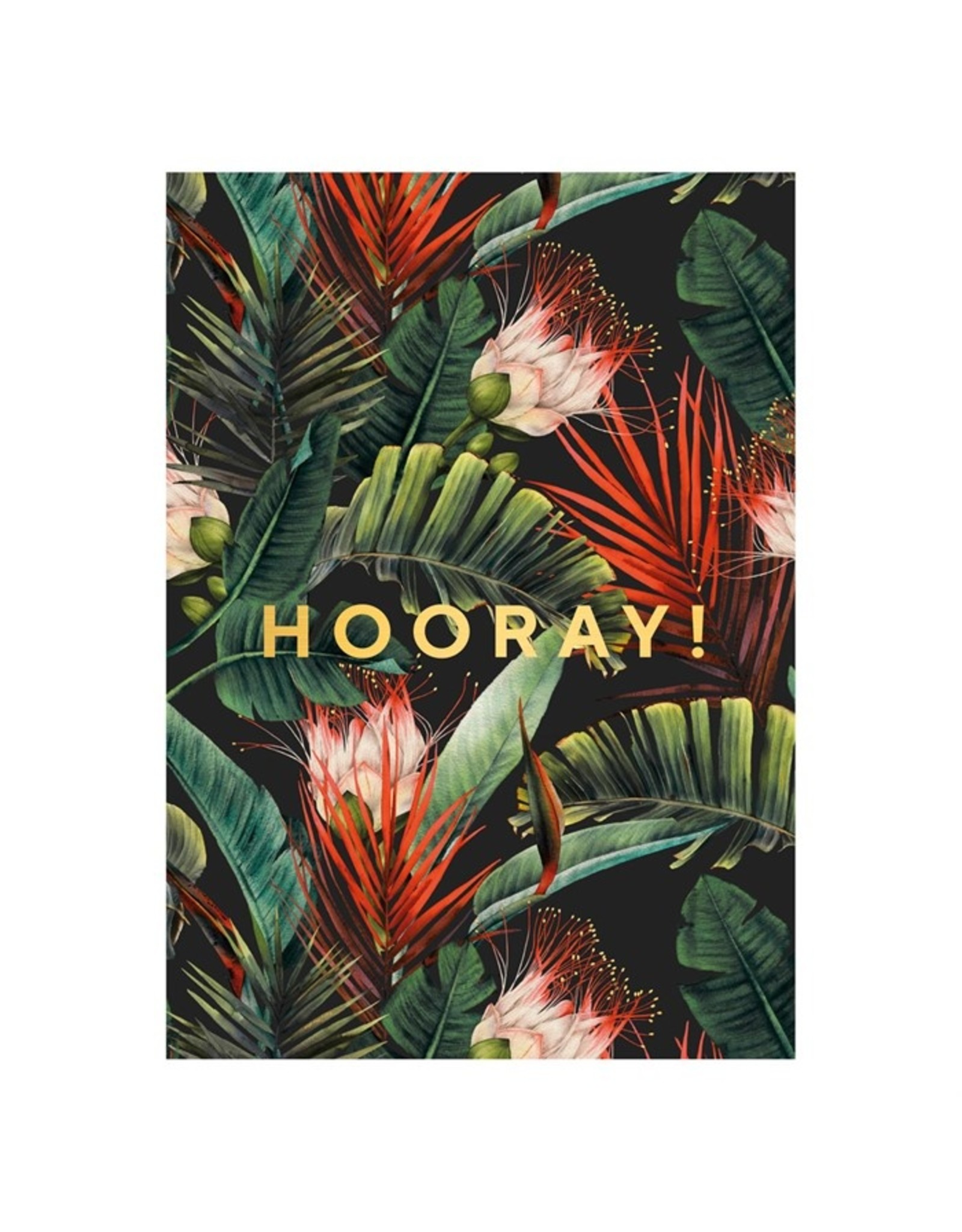 Kaartje 'hooray dark jungle'