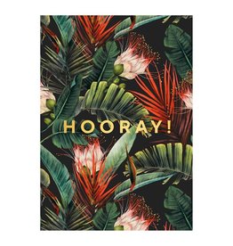 Kaartje 'hooray dark jungle'