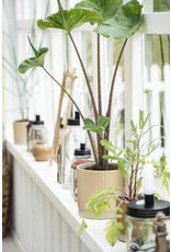 Bloempot (sand)