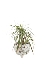 Bloempot wit, taupe, grijs (dia 12.5)