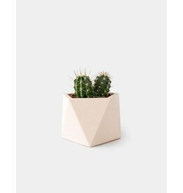 Mare Planter M dia 8.5 (mil/pink)