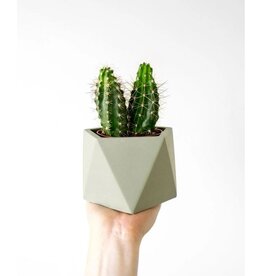 Mare Planter M dia 8.5 (olive green)