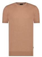 Saint Steve Boudewijn T-Shirt