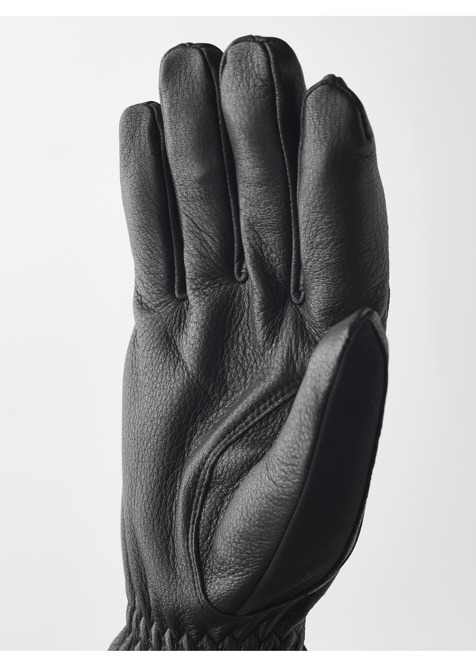 Hestra Gneis Gloves