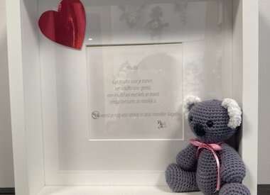 Troostkader met koala