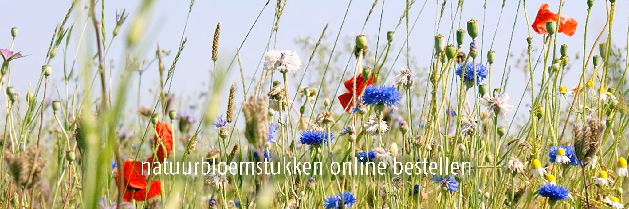 Natuurbloemstukken online bestellen