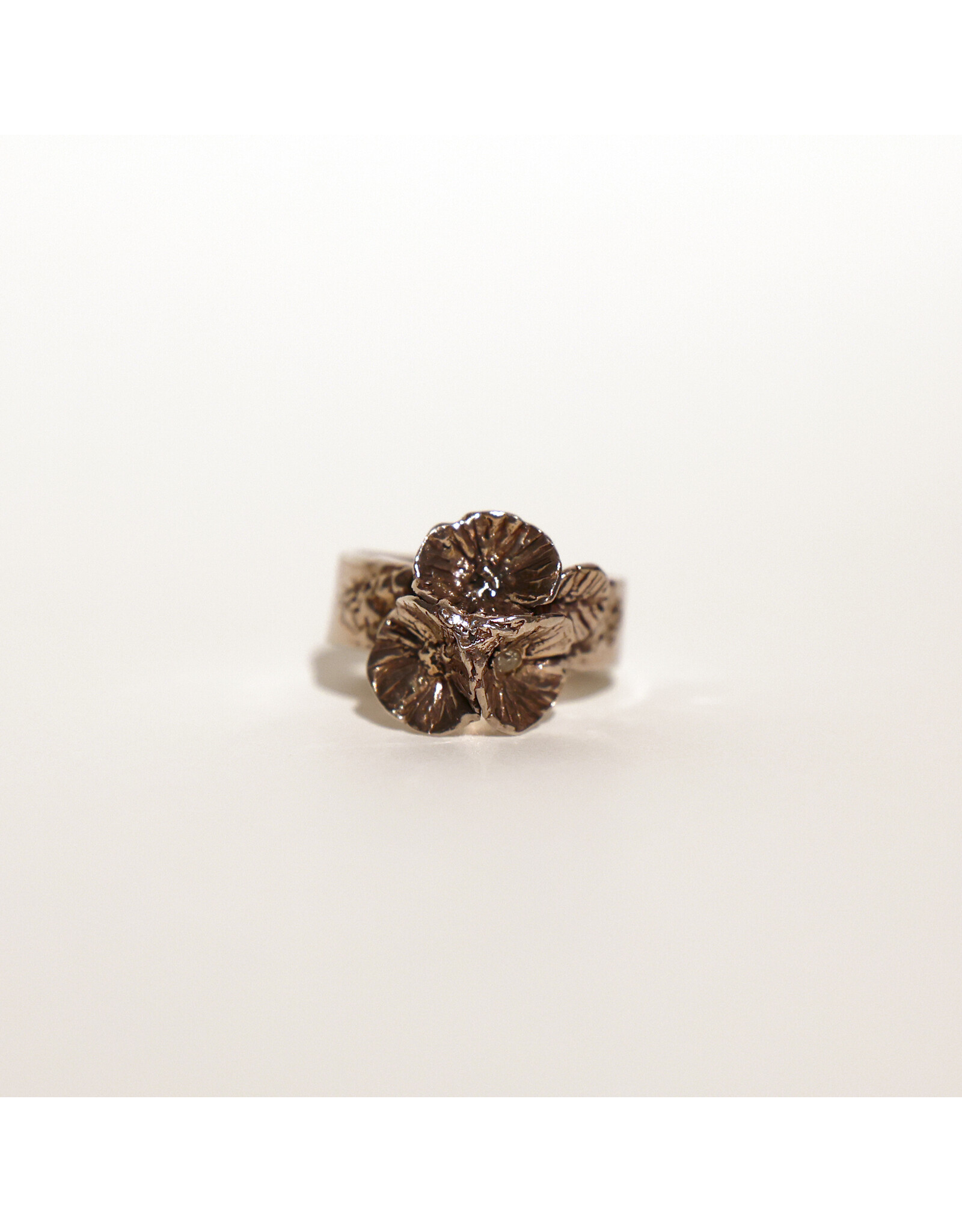 2Remember Asring 1 zilver - maat C9 | 2Remember