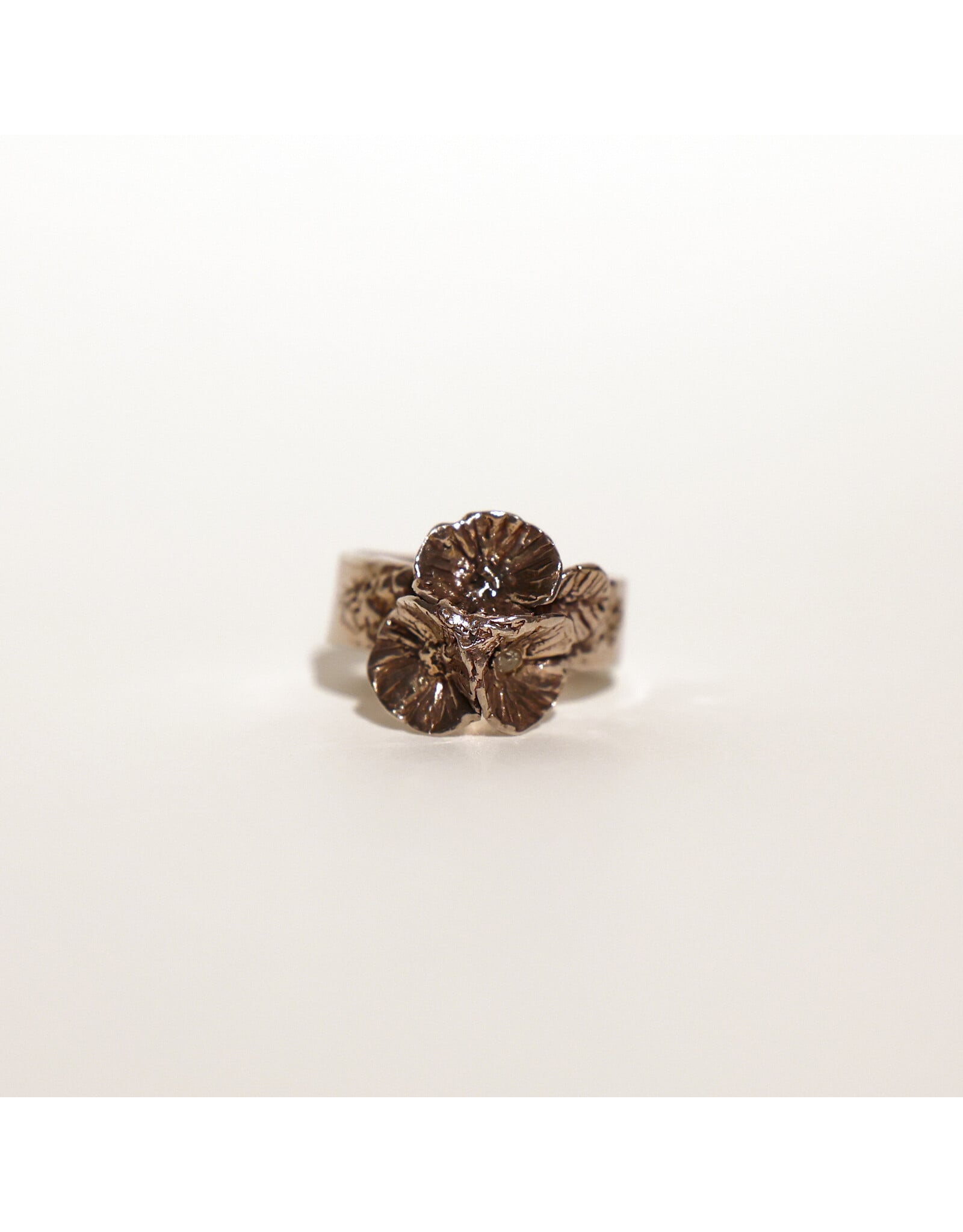 2Remember Asring 1 zilver - maat C9 | 2Remember