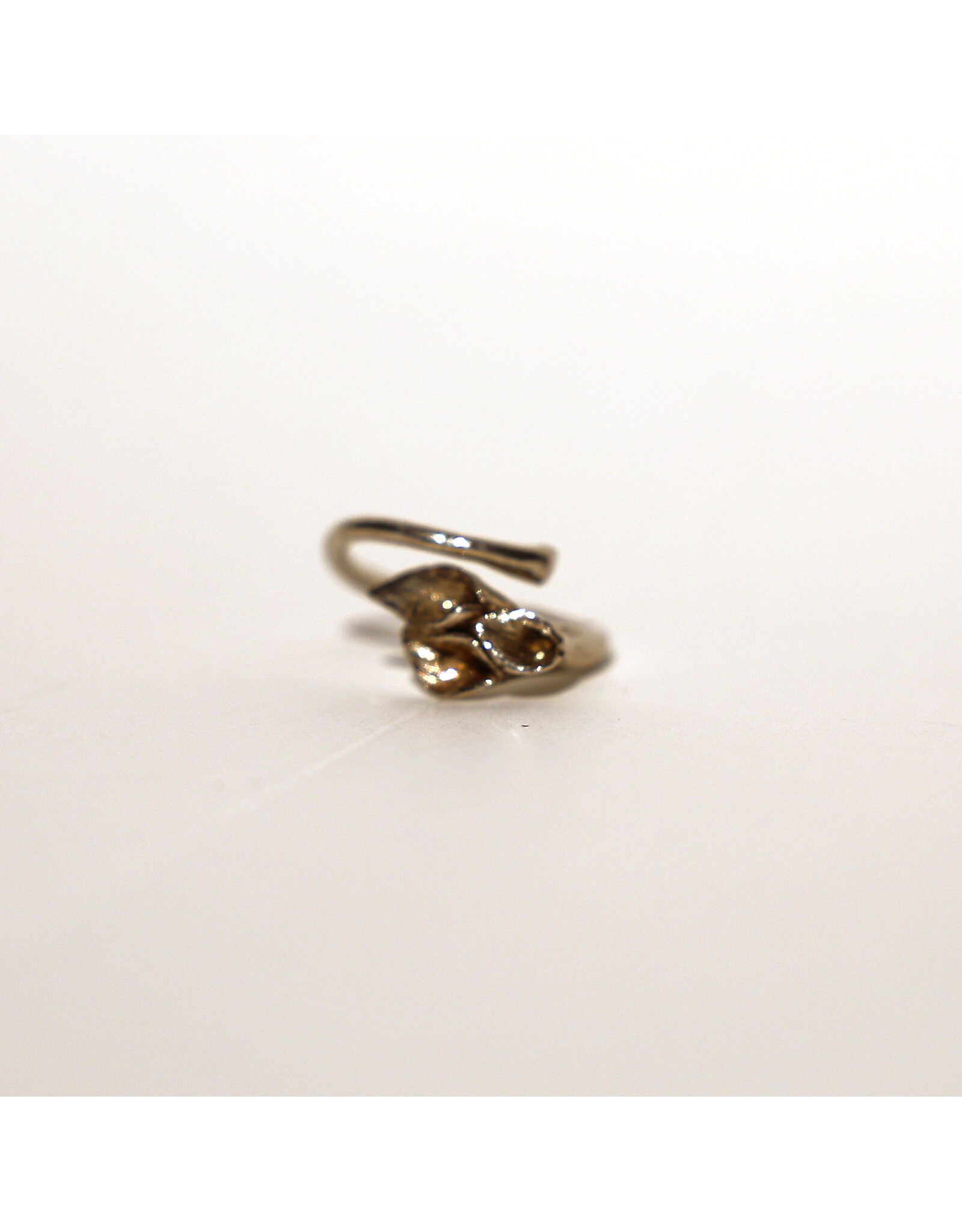 2Remember Asring 2 zilver - maat C10 | 2Remember