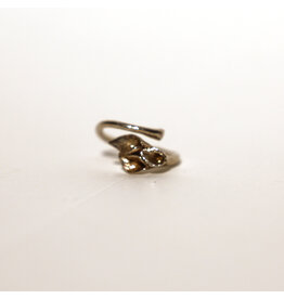 2Remember Asring 2 zilver | 2Remember