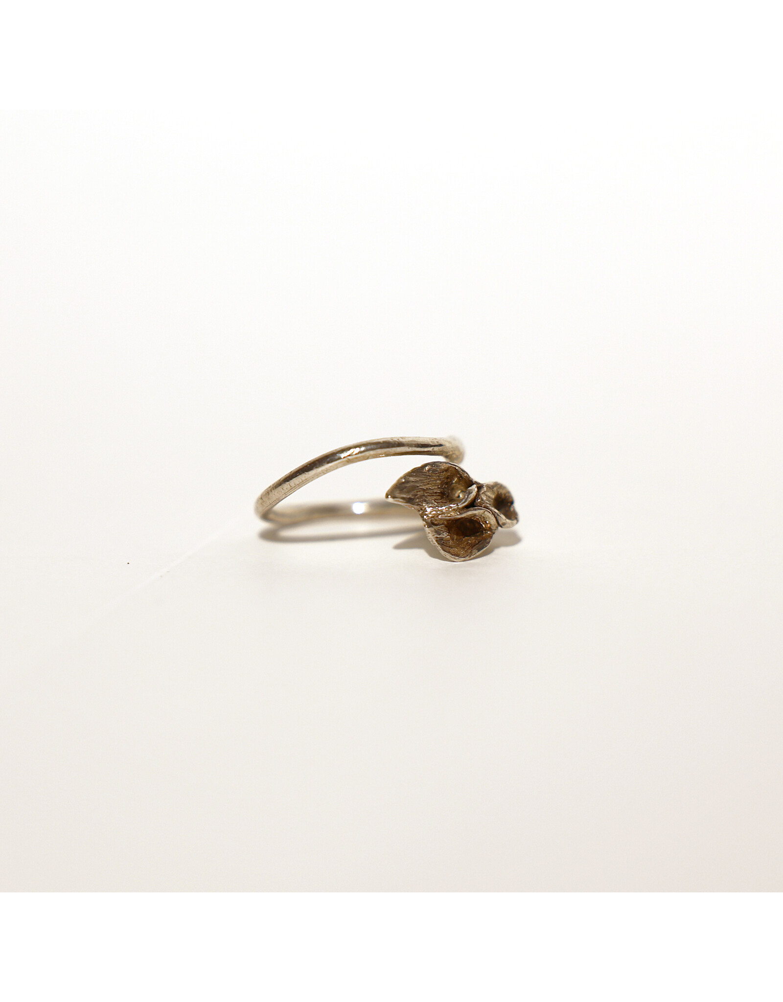 2Remember Asring 2 zilver - maat C10 | 2Remember