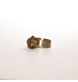 2Remember Asring 5 zilver | 2Remember
