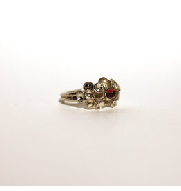 2Remember Asring 6 zilver | 2Remember