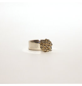 2Remember Asring 10 zilver | 2Remember