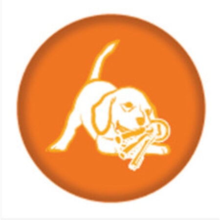 Nylabone Flexible puppy teething pacifier N330