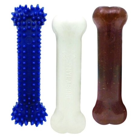 Nylabone Puppy Starter Kit - Regular