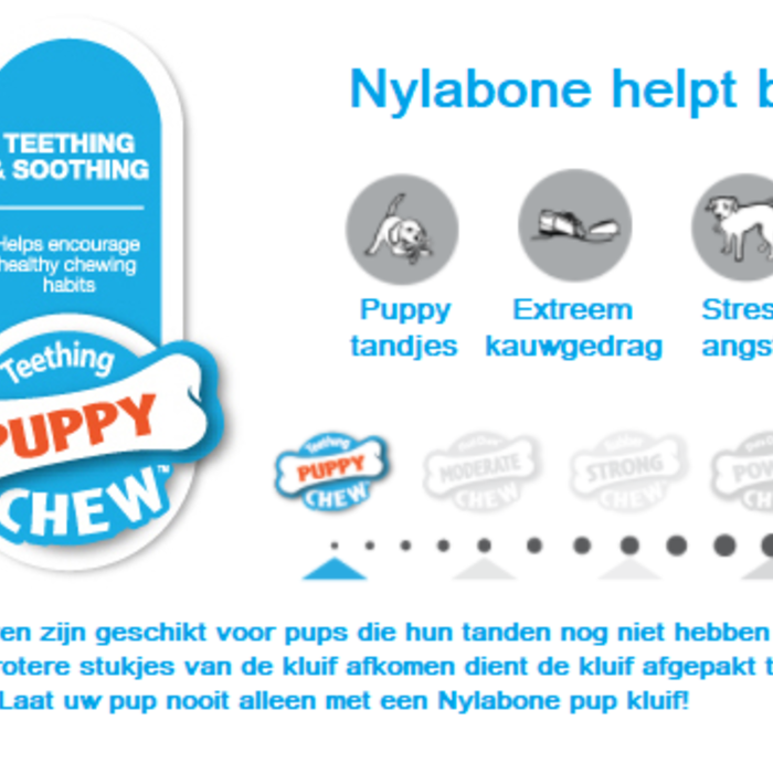 Nylabone puppy chew deals