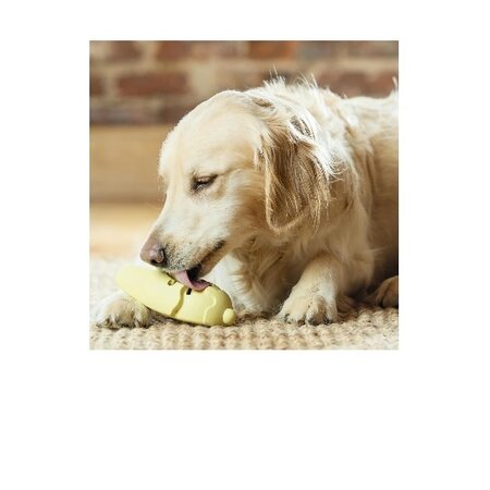 PetSafe Busy Buddy Frosty Cone vriezer speelgoed medium/large