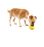 PetSafe Busy Buddy Frosty Cone vriezer speelgoed small