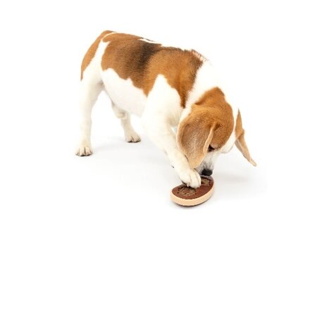 PetSafe Busy Buddy Slab o' Sirloin Treat Ring