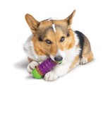 PetSafe Busy Buddy Ultra Stratos medium