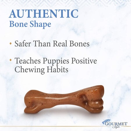 Nylabone Puppy Gourmet Femur Bacon Small