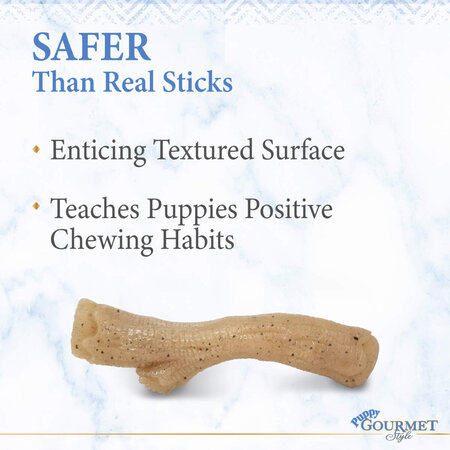 Nylabone Puppy Gourmet Stick Chicken Medium