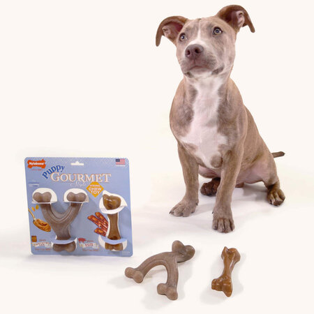 Nylabone Puppy Gourmet Twin Pack Small