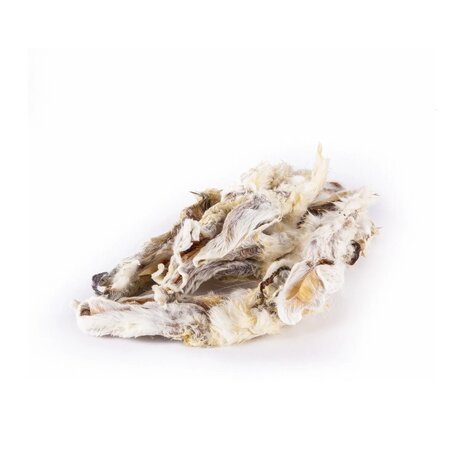 Timo Konijnenoren met haar 10 stuks