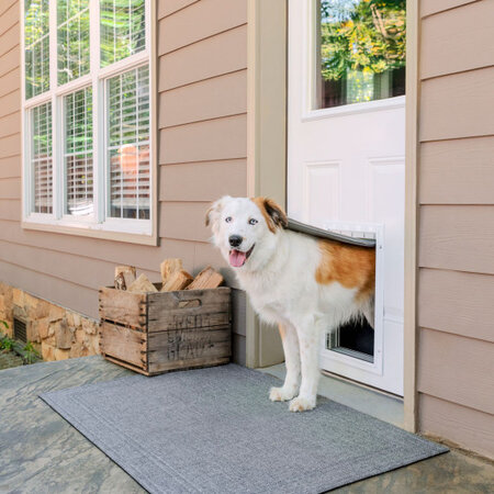 PetSafe Aluminium huisdierluik voor extreem weer Large