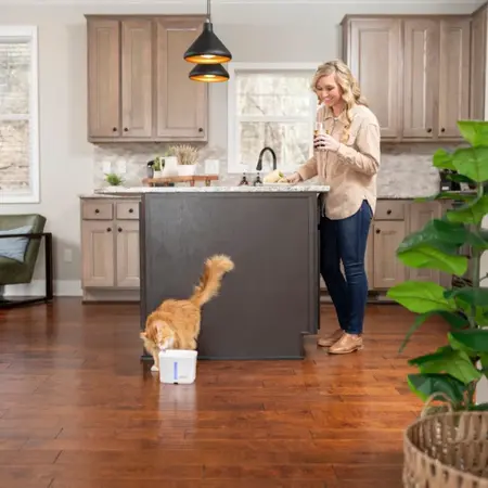 PetSafe Viva Drinkfontein 1,8 Liter