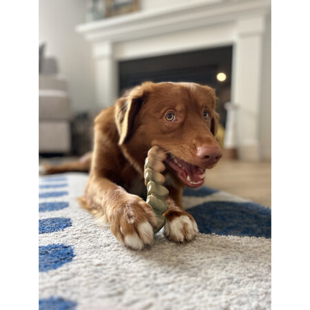 Nylabone Power Chew Gator Tail Alternative