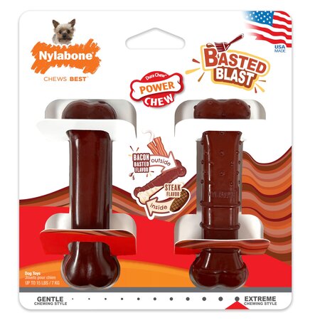 Nylabone Extreme chew basted blast bone twin pack small