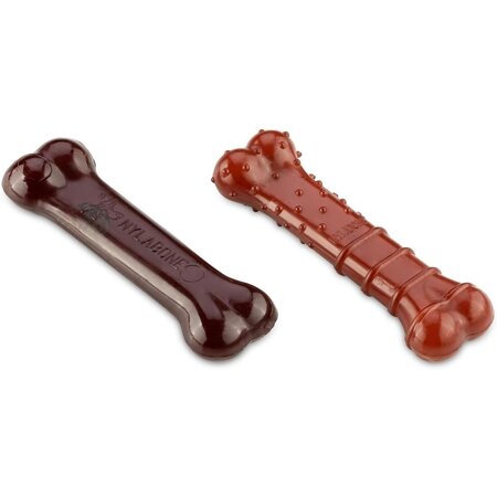 Nylabone Extreme chew basted blast bone twin pack small
