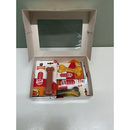 Nylabone Giftbox - Medium