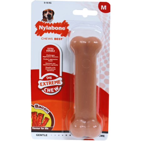 Nylabone Giftbox - Medium