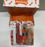 Nylabone Giftbox - Large