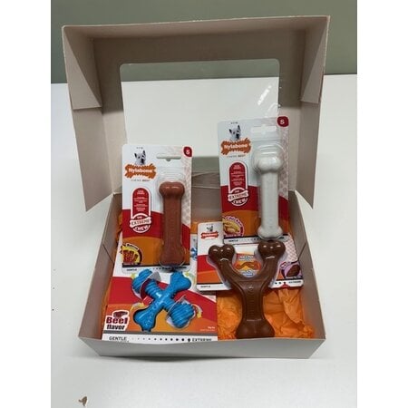 Nylabone Giftbox - Small