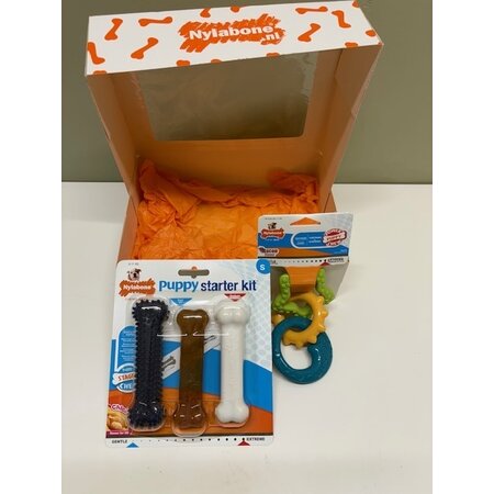 Nylabone Giftbox - Puppy Small