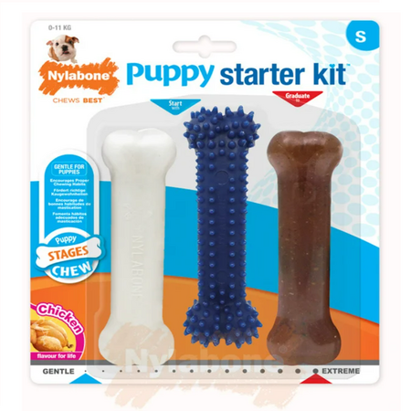 Nylabone Giftbox - Puppy Small